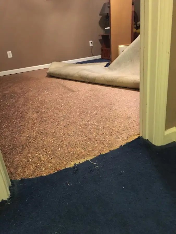 Carpet pad removal revealing water damage during Drying & Dehumidification in Newport